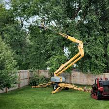 Reliable Cordele, GA Tree Care Services Solutions